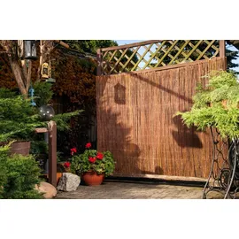 MC.Sammler Sichtschutzmatte 140 x 500 cm Beige Weide