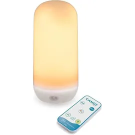 Licht-Erlebnisse Außenleuchte LED Modul Akku H: 30 cm IP54 2000K kabellos schwarz|weiß