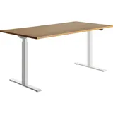 TOPSTAR E-Table elektrisch höhenverstellbarer Schreibtisch buche rechteckig, T-Fuß-Gestell weiß 160,0 x 80,0 cm