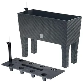 Prosperplast Rato Case High 80 x 33 x 62 cm anthrazit