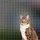 ideoon Katzen Sicherheitsnetz 8 x 3 m Weiß