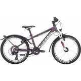 BULL'S Tokee Street 20 Zoll RH 31 cm dunkelviolett matt