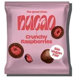 nucao Fruits Crunchy Himbeere bio