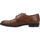 LLOYD braun 12,5