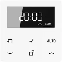 Jung Timer Standard, Display A 1750 D WW