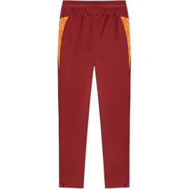 Puma Galatasaray Istanbul Pockets Jogginghose Rot 176