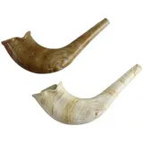 Kunststoff Qualität shofar- natur Farbe 1 in Paket