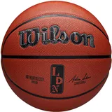 Wilson NBA Authentic Indoor/Outdoor City Basketball