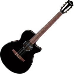 Ibanez AEG50N Black High Gloss