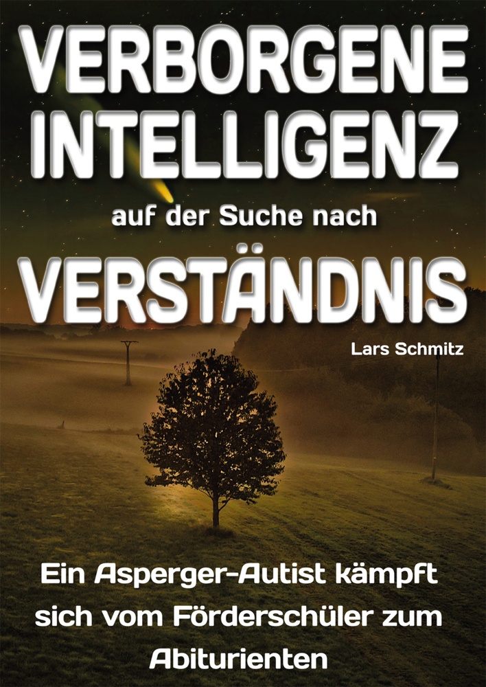 Verborgene Intelligenz - Auf Der Der Suche Nach Verständnis - Lars Schmitz  Kartoniert (TB)