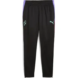 Puma Neymar JR Creativity Training Pant puma black (01) XXL