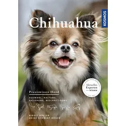 Chihuahua