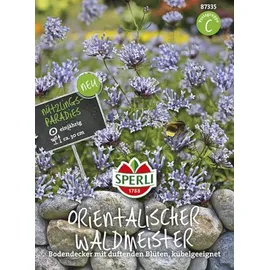 Sperli Waldmeister (Waldmeistersamen)