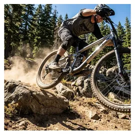 RockShox Feder für HR Dämpfer Vivid 600LB 240x76 grau