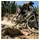RockShox Feder für HR Dämpfer Vivid 600LB 240x76 grau