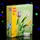 Tulpen 40461