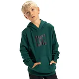 DC Shoes DC Star Green 158