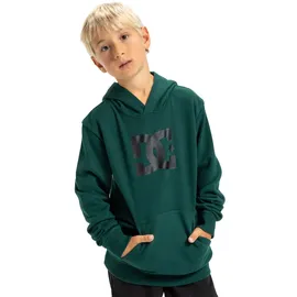 DC Shoes DC Star Green 158