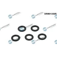 DR.MOTOR AUTOMOTIVE Dichtring, Ölablassschraube DRM01356R