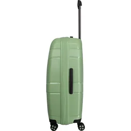impackt IP1 4-Rollen L Cabin 76 cm / 106 l grün/mint