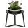 DanDiBo Ambiente Blumenhocker 18 x 34 cm Schwarz Silber