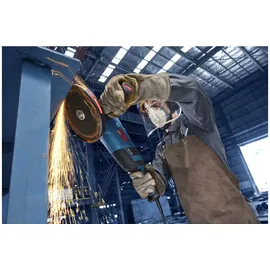 Bosch EXWS30-230PB für 230 mm