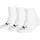 Unisex Kinder Plain Sock White New 39-42 EU