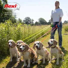 flexi New Neon S neon-blau 5 m