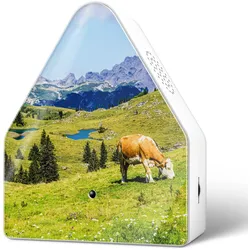 RELAXOUND Alpensound HEIDIBOX Alpen-Atmosphäre stereo UV-Druck Alpenwiese