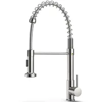 FAOKZE Küchenarmatur,Spring Wasserhahn Küche mit Pull Down Sprüher Brause,360°schwenkbare Spültischarmatur,schwenkbare Spültischarmatur,2 Sprühmodi High Arc Einhebel Pültisch Mischbatterie(Chrom)