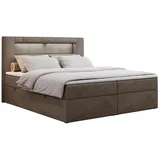 MKS Boxspringbett 160 x 200 cm H3 Braun