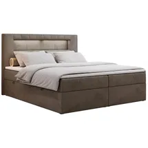 MKS Boxspringbett 160 x 200 cm H3 Braun