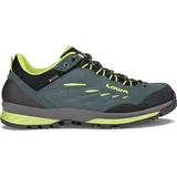 Lowa Delago GTX LO Herren