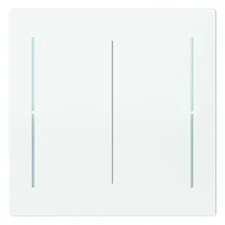 Busch-Jaeger Abdeckung, 2-fach LFW/A.2.70.11-44G