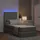vidaXL Bett 90 x 200 cm Hellgrau