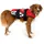Ezydog Life Jacket XS