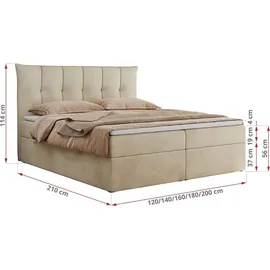 MKS Meble Boxspringbett 180x200 mit Bettkasten und Matratze H4, Polsterbett 180x200 mit Bettkasten, Bett 180x200 mit Stauraum und Topper - Premium-... - Creme