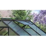 Vitavia Alu-Dachfenster zu Gewächshaus Calypso schwarz