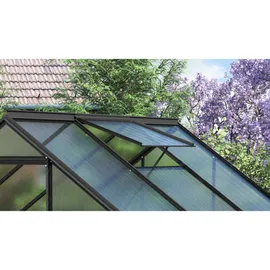 Vitavia Alu-Dachfenster zu Gewächshaus Calypso schwarz