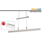 Trango 2014-012A Design stufenlos dimmbare & höhenverstellbare Pendelleuchte *WOW* Edelstahl-Optik - 850mm Lang inkl. 1x 20 Watt LED Modul 3000K warmweiß Esstischleuchte - Hängelampe – Deckenleuchte