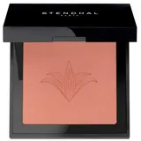 Stendhal Blush Illuminateur - 5 g)