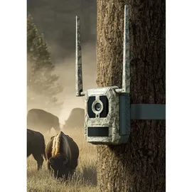 Reolink Talon Pro S130 4K LTE Grün
