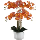 Künstliche Orchidee - Luan | 90 cm