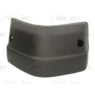 Prasco - ME9051153 - Mercedes - 207D - 410 - Mod. 01/81-02/95 - Endstueck Hinten Rechts-
