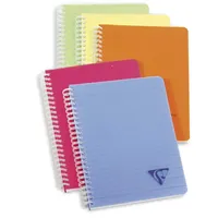 Clairefontaine 328506C - Packung mit 5 Doppelspiralbücher Linicolor Fresh