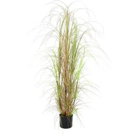 Europalms Grasbusch, 150cm