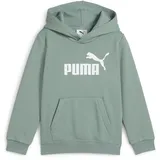 Puma Essentials No. 1 Logo Fleece Hoodie Jungen 30 green moon 116
