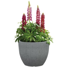 Scheurich Pflanzgefäß Barceo Serie 295 granit grau Ø 40 cm