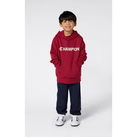 Champion Hoodie Red 176