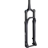 DT Swiss F 232 ONE 29 Zoll 120 mm Schwarz